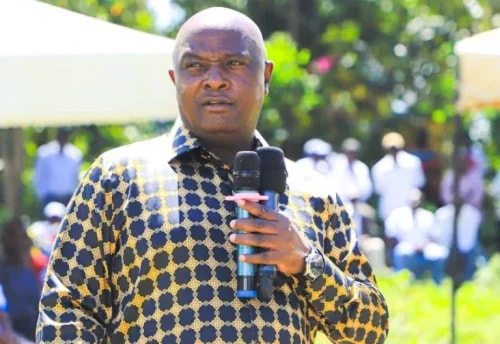 Vihiga Senator Assault: 14 Suspects Flee Kenya After Attack