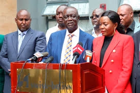 Acting Secretary General Catherine Omanyo address journalists during a press conference by the party’s committee at the Swiss-Belinn Hotel in Nairobi on April 16, 2026.
